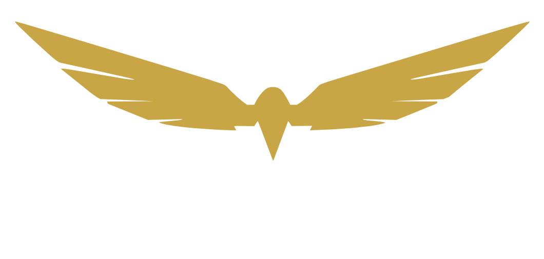 Raven Boats