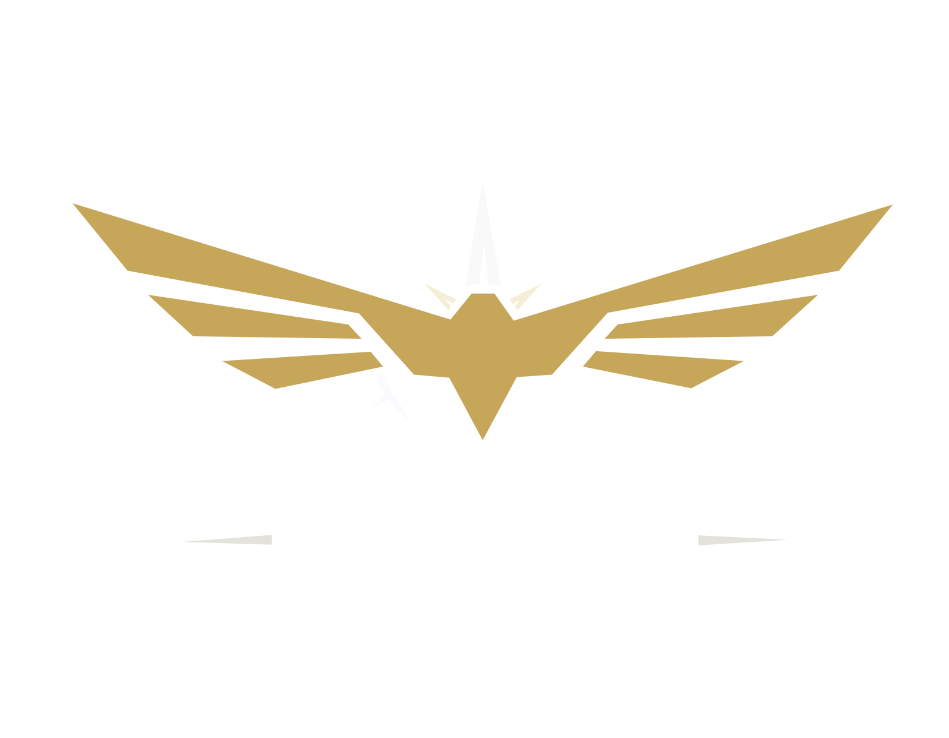 Raven Boats